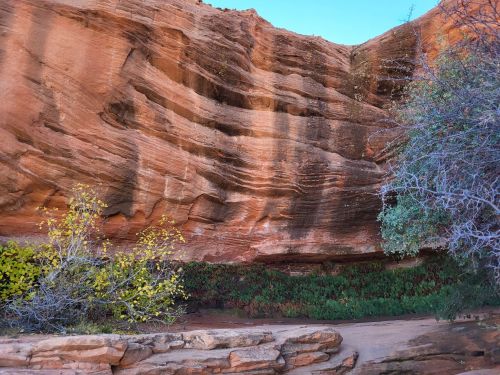 A rocky cliff with layered red sandstone, surrounded by sparse vegetation and a clear blue sky.