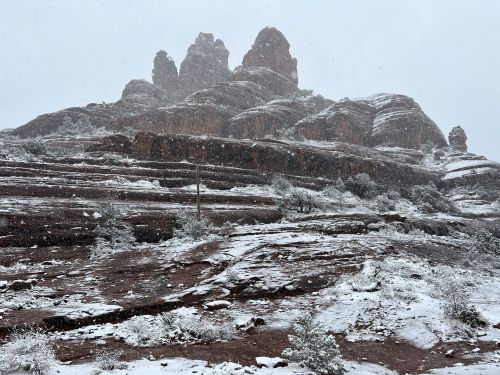 Snow-covered rocky landscape with towering formations and scattered shrubs under a snowy sky.