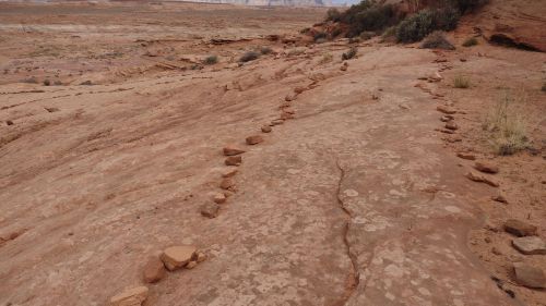 A rocky, arid landscape with a cracked surface and scattered stones, surrounded by sparse vegetation.