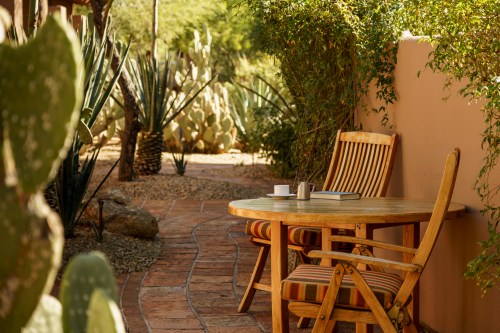 A wooden table and chairs in a desert garden, surrounded by cacti and greenery, with a pathway leading through.