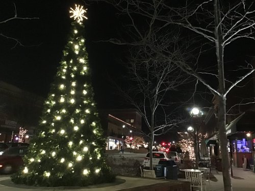 A brightly lit Christmas tree stands in a festive downtown area at night, surrounded by twinkling lights and bare trees.