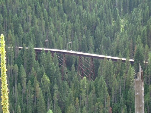 A long bridge spans a dense forest of tall green trees, surrounded by mountainous terrain.