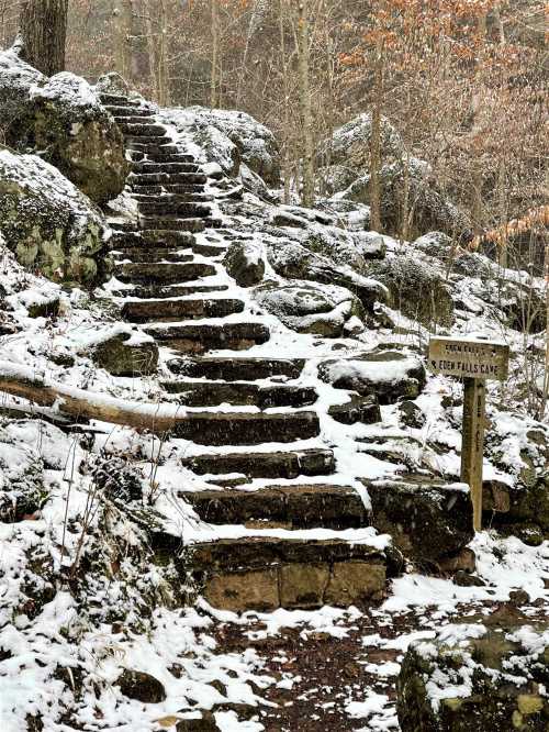 Stone steps lead through a snowy forest, with a sign pointing to "Cedar Falls Cave" nearby.