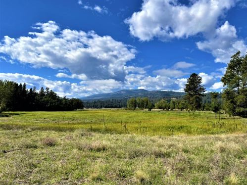 A scenic landscape featuring a grassy field, trees, and mountains under a blue sky with fluffy white clouds.