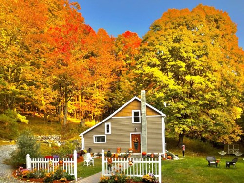 A cozy house surrounded by vibrant autumn foliage and colorful trees, with a garden and seating area in front.