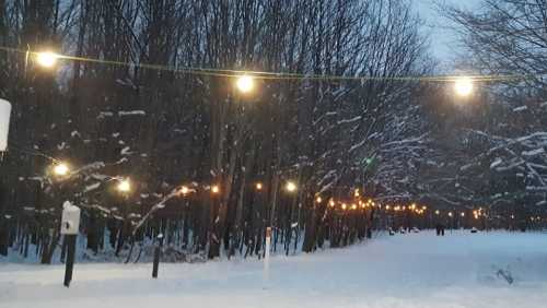 A snowy path lined with glowing string lights, surrounded by trees in a winter landscape at dusk.