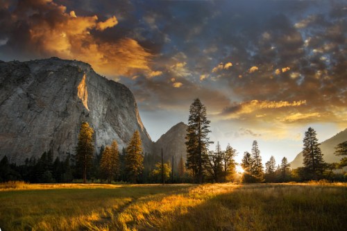 A stunning landscape featuring mountains, tall trees, and a golden sunset illuminating the sky and grassy field.