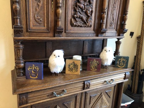 A wooden cabinet displays four decorative boxes and two plush owls, creating a cozy, whimsical atmosphere.