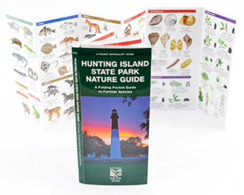 A nature guidebook for Hunting Island State Park, featuring illustrations of local species and a lighthouse at sunset.
