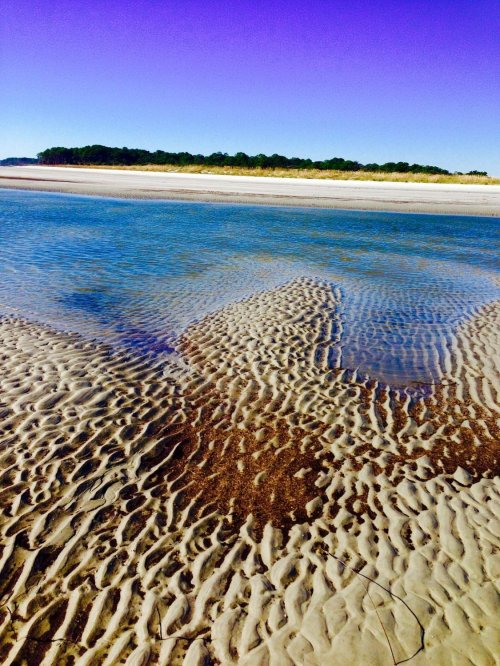 A serene beach scene with rippled sand and calm water, framed by a distant tree line under a clear blue sky.