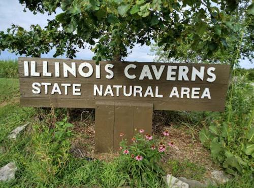 Sign for Illinois Caverns State Natural Area, surrounded by greenery and flowers.