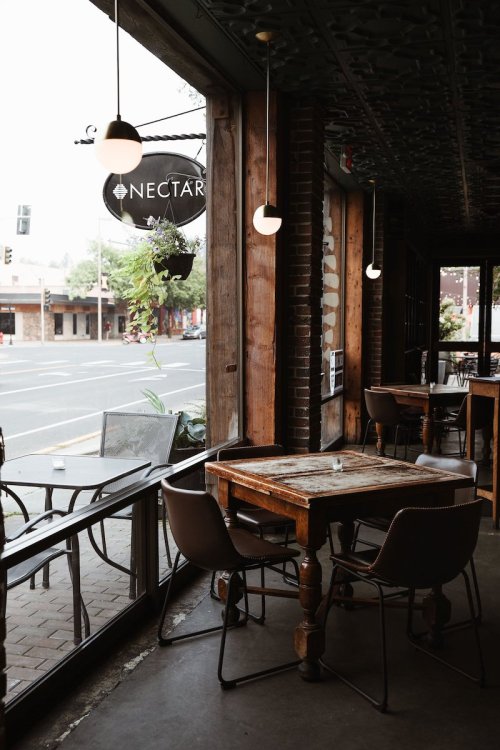 Cozy café interior with wooden tables, chairs, and large windows overlooking the street, featuring a sign that reads "NECTAR."