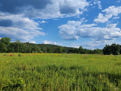 A lush green field under a blue sky with fluffy clouds, surrounded by trees and distant hills.