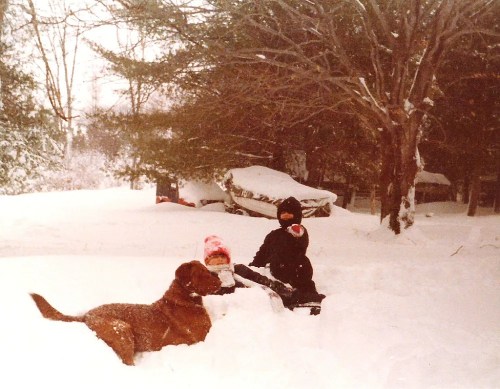 A child and a dog play in deep snow, with trees and a snow-covered car in the background.