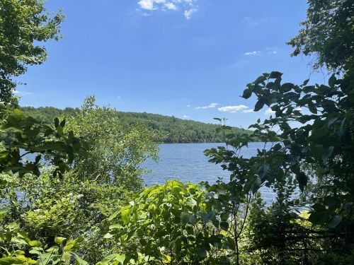 A serene lake surrounded by lush greenery and trees under a clear blue sky.