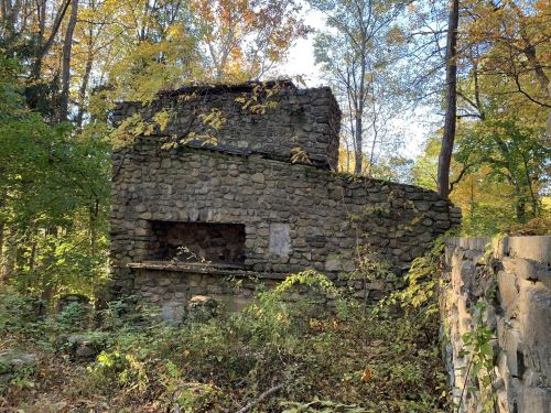Abandoned stone structure surrounded by trees and overgrown vegetation in a forested area.