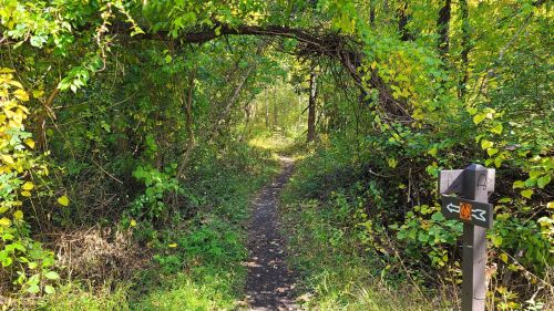 A narrow, winding trail surrounded by lush greenery, with a signpost indicating the path ahead.