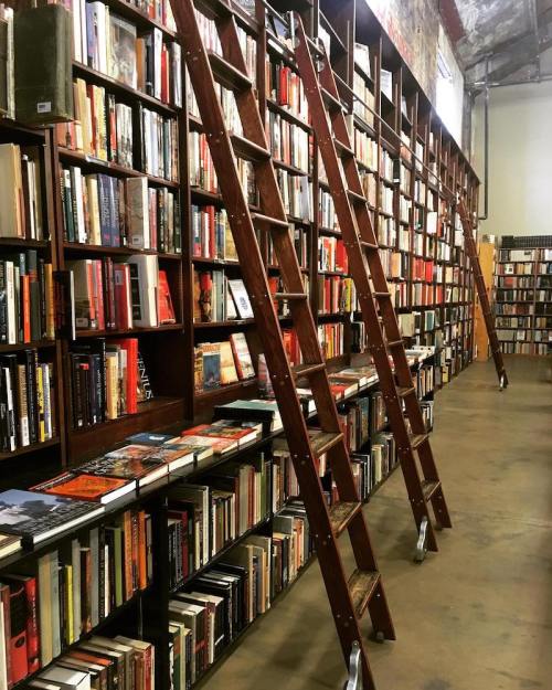 A cozy bookstore with tall wooden shelves filled with books and two wooden ladders for reaching higher shelves.