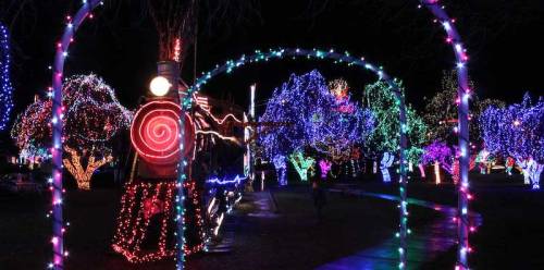Colorful holiday lights illuminate trees and a train in a festive nighttime scene.