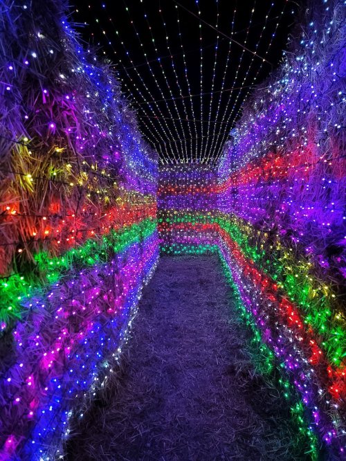 A colorful light tunnel with vibrant purple, green, and blue lights illuminating a dark pathway.