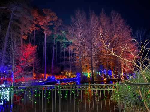 Colorful lights illuminate trees and a pond at night, creating a festive atmosphere in a serene outdoor setting.