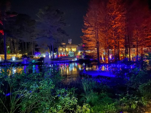 A serene night scene with colorful lights reflecting on a pond, surrounded by trees and festive decorations.