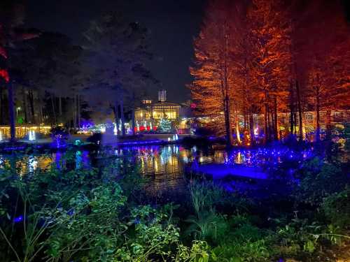 A serene night scene with colorful lights reflecting on a pond, surrounded by trees and festive decorations.