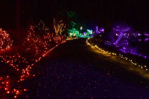 A pathway illuminated by colorful holiday lights in a dark, serene setting, creating a festive atmosphere.