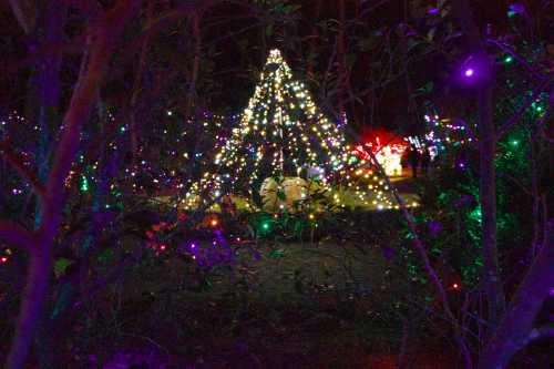 A festive display of colorful lights shaped like a Christmas tree, surrounded by dark foliage.