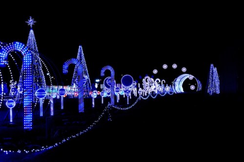 A festive display of blue and white lights shaped like trees, candy canes, and ornaments against a dark background.