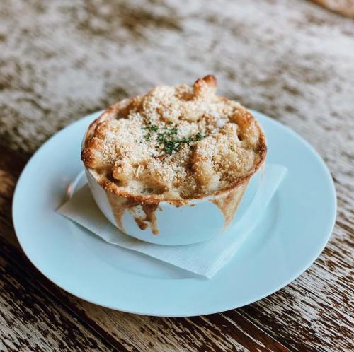 A baked dish in a white bowl, topped with golden breadcrumbs and herbs, sitting on a light blue plate.