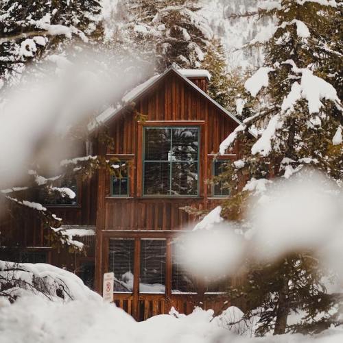 A cozy wooden cabin surrounded by snow-covered trees in a winter landscape.