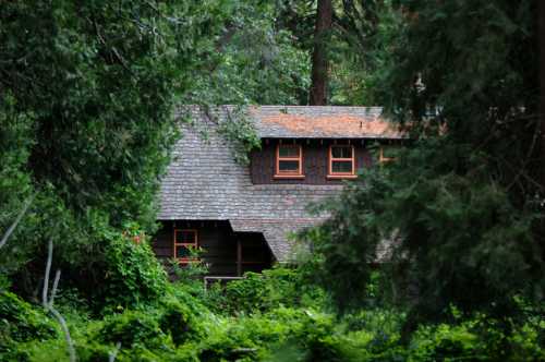 A rustic brown house with orange windows, surrounded by lush green trees and foliage.