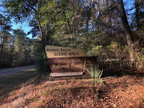 Sign for Winters Bayou Scenic Area in Sam Houston National Forest, surrounded by trees and foliage.
