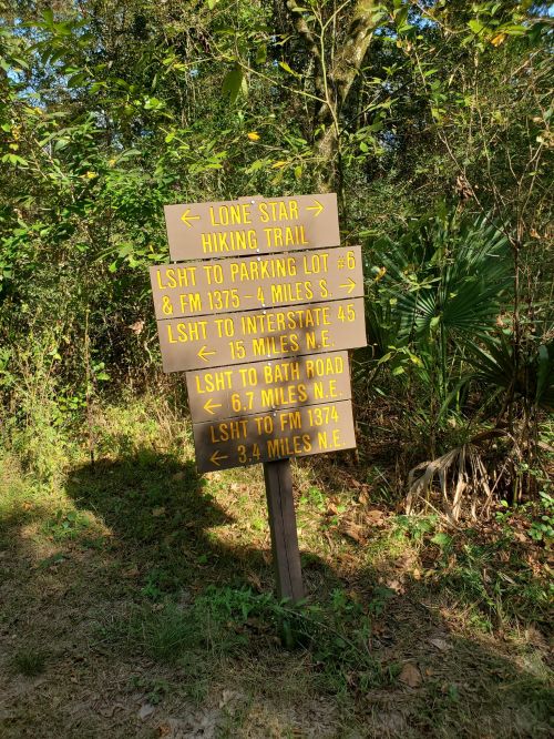 Signpost with directional arrows for hiking trails and nearby roads, surrounded by trees and greenery.