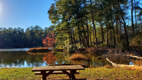 A serene lake scene with a wooden picnic table, surrounded by trees and colorful autumn foliage under a clear blue sky.