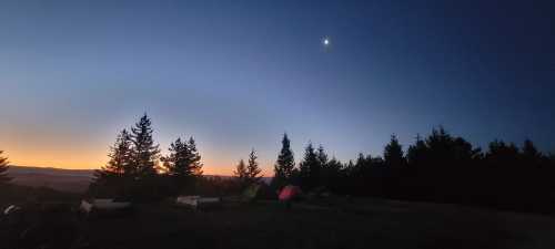 A serene twilight scene with trees silhouetted against a colorful sunset and a crescent moon in the sky.