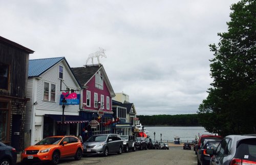 A coastal street lined with cars, colorful buildings, and a moose statue on a roof, overlooking a calm waterway.