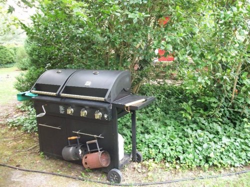 A black gas grill with multiple burners sits in a garden surrounded by greenery and bushes.