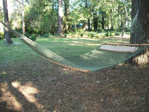 A green hammock is suspended between two trees in a sunny, grassy area surrounded by lush greenery.