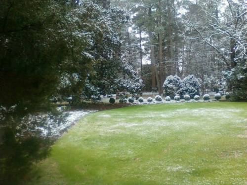 A snowy garden scene with green grass, snow-covered bushes, and trees in the background.