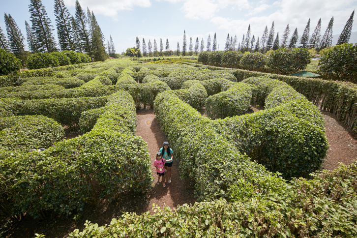 maze5.jpg?w=1200