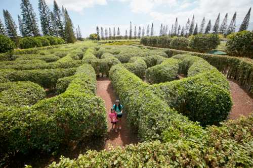 Two people stand in a lush green maze surrounded by tall hedges and trees under a bright blue sky.