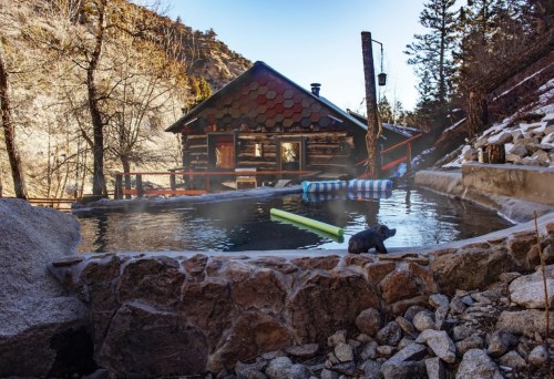 A cozy log cabin beside a steaming hot spring, surrounded by rocky terrain and trees. A small animal sits nearby.