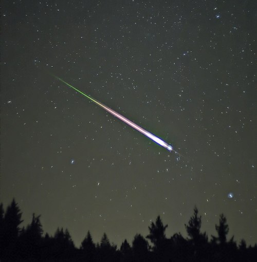 A bright meteor streaks across a starry night sky, with trees silhouetted in the foreground.