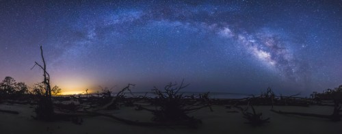 A panoramic view of the Milky Way arching over a dark landscape with silhouetted trees against a twilight sky.