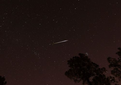 A bright meteor streaks across a starry night sky, framed by silhouetted trees.