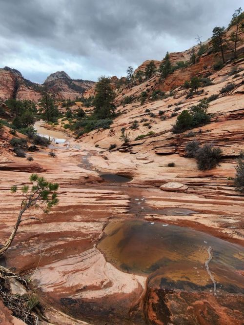 A rocky landscape with red sandstone formations, sparse vegetation, and a small pool of water under a cloudy sky.
