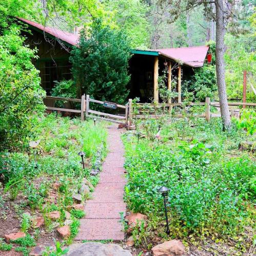 A cozy cabin surrounded by lush greenery and a stone pathway leading to the entrance.