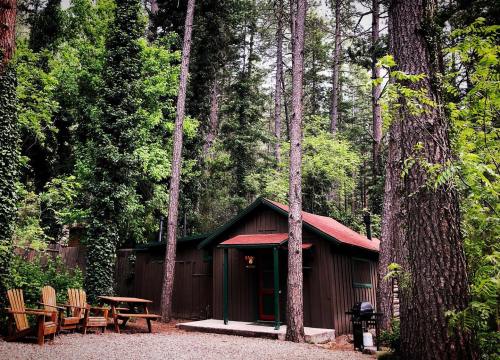 A cozy cabin surrounded by tall trees, with wooden chairs and a grill in a serene forest setting.